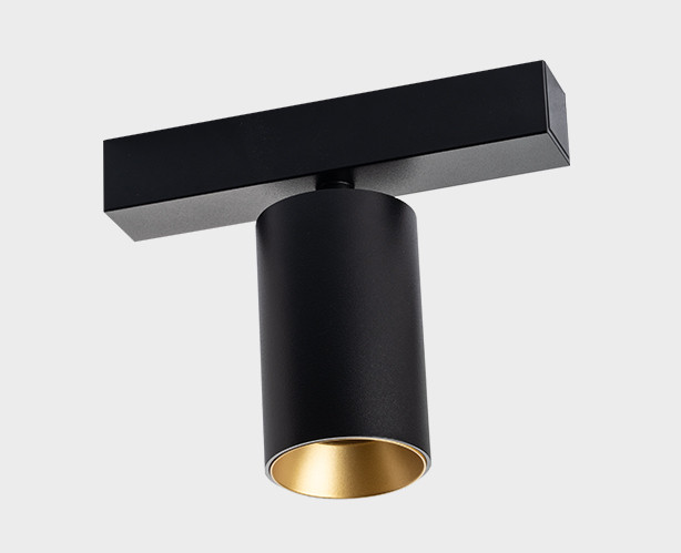 DANNY E1 black + Ring Danny gold светильник потолочный поворотный