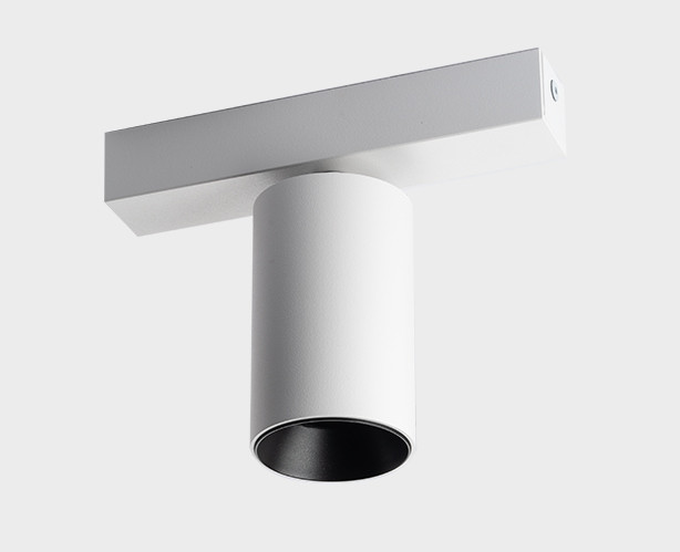 DANNY E1 white + Ring Danny black светильник потолочный поворотный