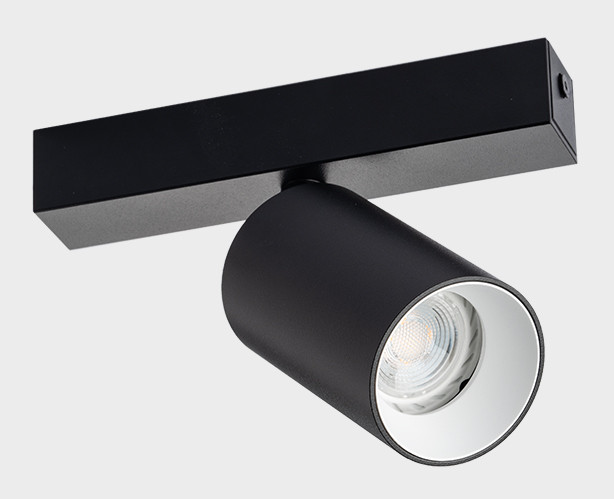 DANNY E1 black + Ring Danny white светильник потолочный поворотный