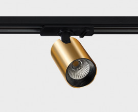 TR 3006 gold