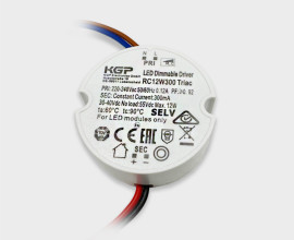 IT09-9065 dimm