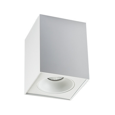 3161 white