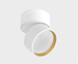 IT02-005 white 3000K + IT02-012 ring gold