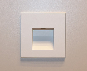 DL 3019 white