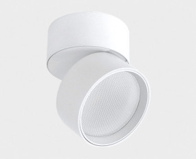 IT02-006 white 4000K светильник потолочный влагозащищенный