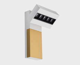 Cover FOCUS gold