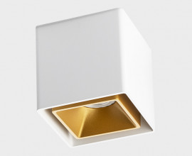 FASHION FX1 white + FASHION FXR gold